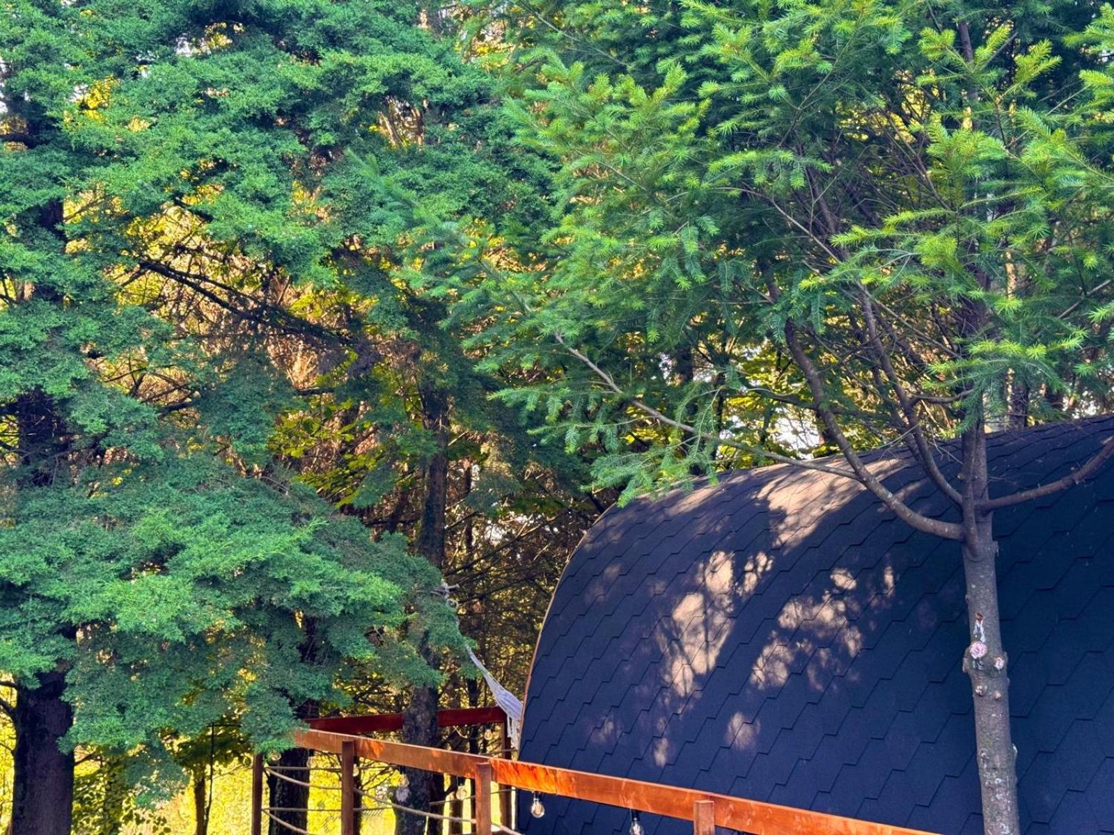 Glicinia Boutique Hotel 弗雷蒙德 外观 照片